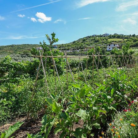 Villa Xherimeja Family Oasis Berat Ngoại thất bức ảnh